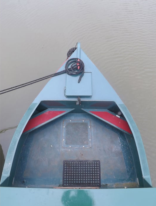 Foxtail boat image