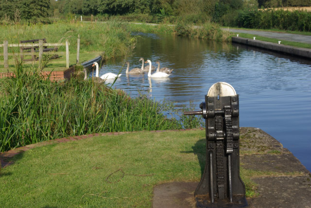 Aston top lock lock paddle with swans swimming in the background.